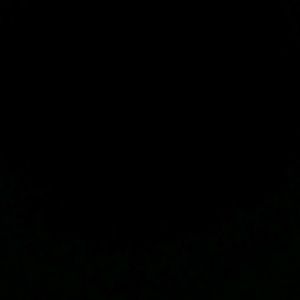 Meet your Posher, Elisha