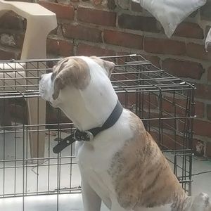 Meet your Posher, Leona