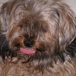 Meet your Posher, Kathy