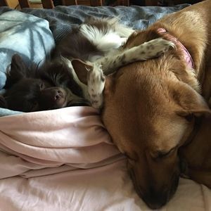 Meet your Posher, Karen