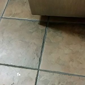 Meet your Posher, Carolyn