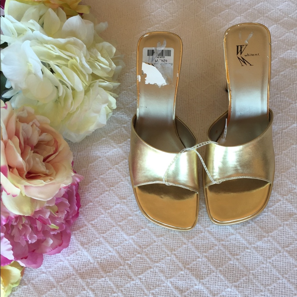🔥Gold Slides by White Mt.