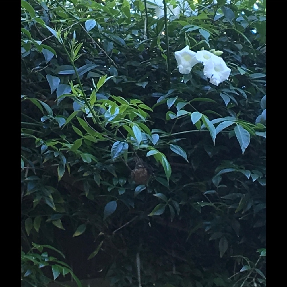 Meet your Posher, Unknown