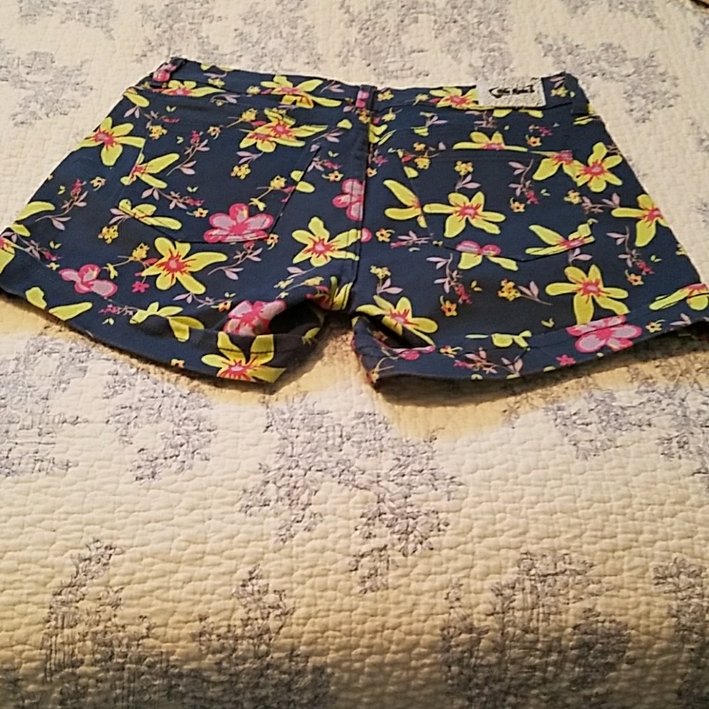 Shorts - Picture 2 of 3