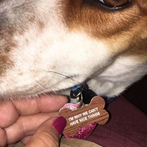 Meet your Posher, Melanie