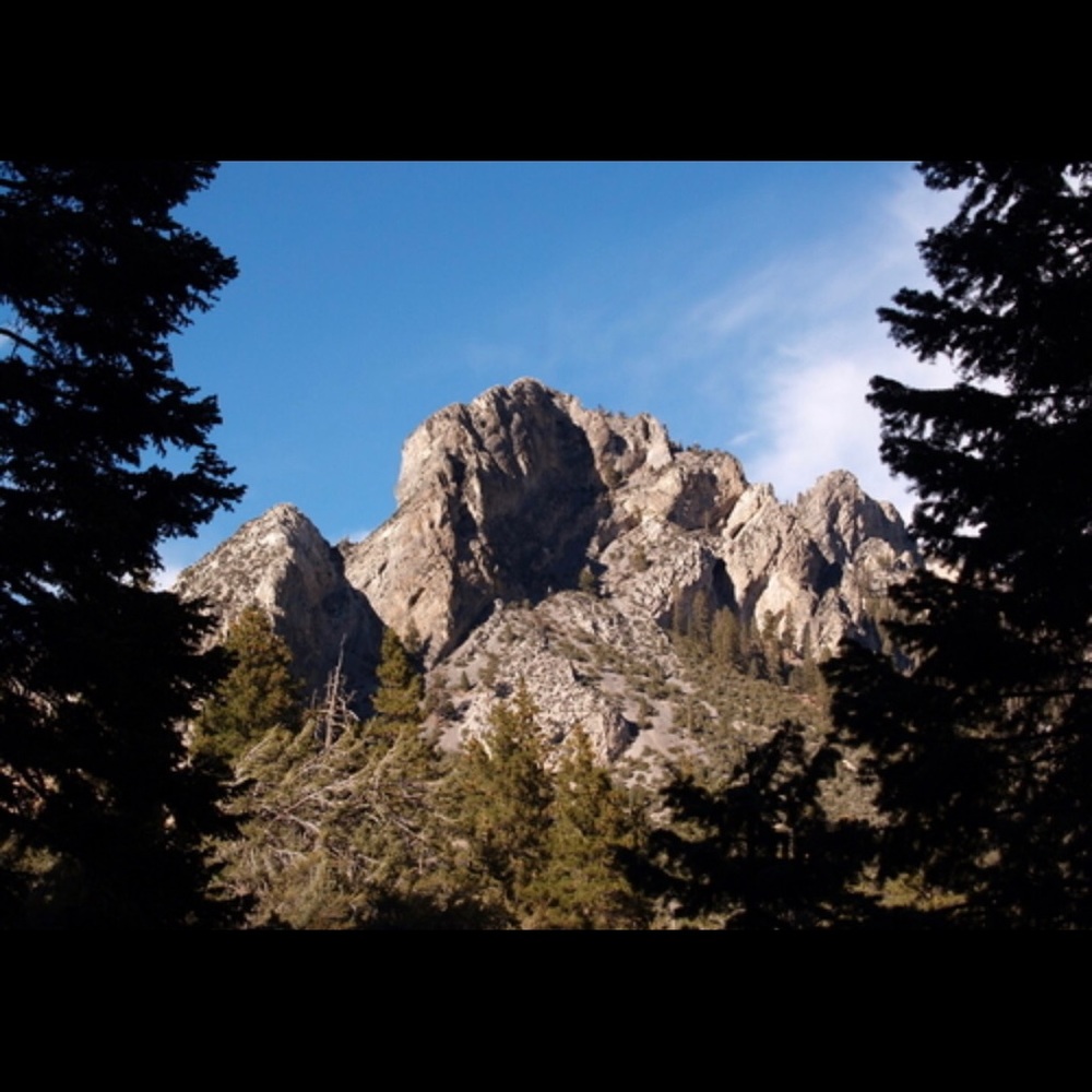 Meet your Posher, Josephine