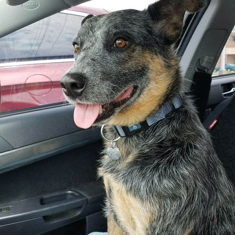 Meet Finley :) Bundle Sale