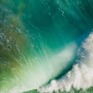 Meet your Posher, Tra