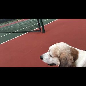 Meet your Posher, Thu