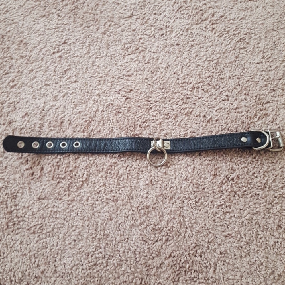 Leather collar with o ring