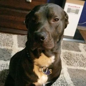 Meet your Posher, Ricardo