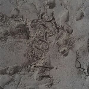 Meet your Posher, Rob