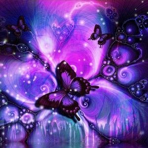 Meet your Posher, Dawn