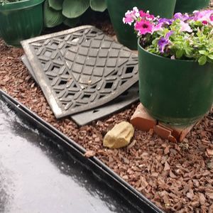 Meet your Posher, Muriel