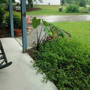 Meet your Posher, Robin