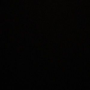 Meet your Posher, Frankie