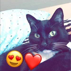 Meet your Posher, Layla