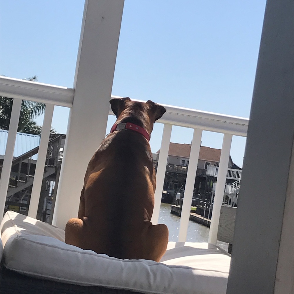 Meet your Posher, Elle