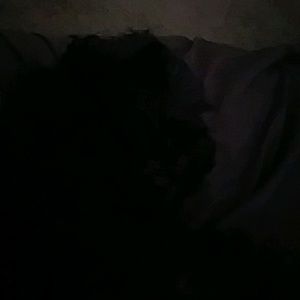 Meet your Posher, Stella