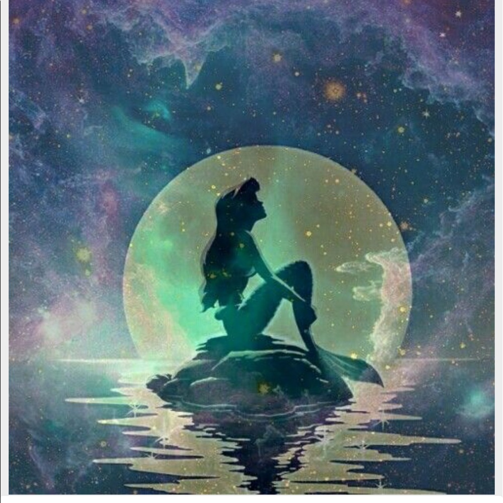 Meet your Posher, Laycie