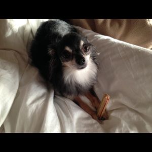 Meet your Posher, Cristy