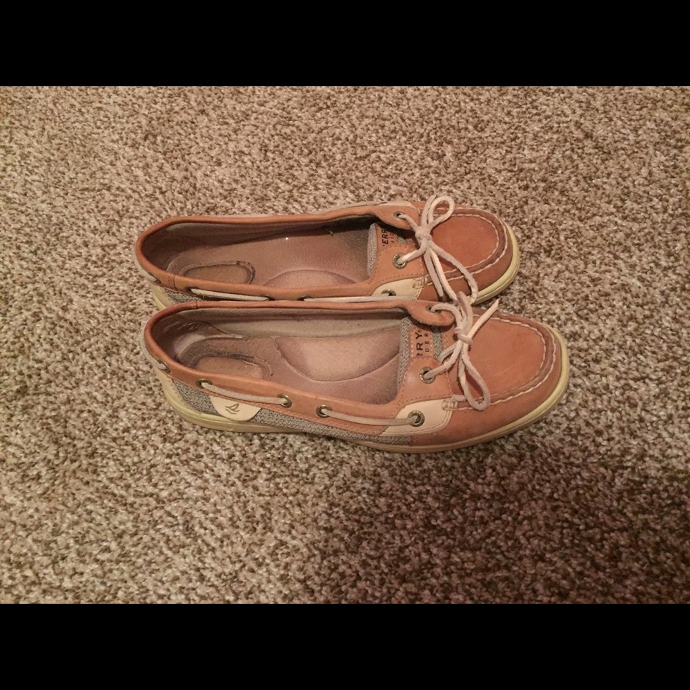 Angelfish Sperry's