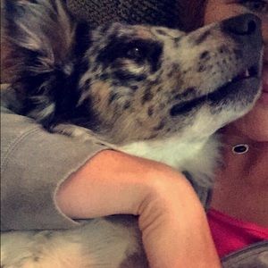 Meet your Posher, Jordan