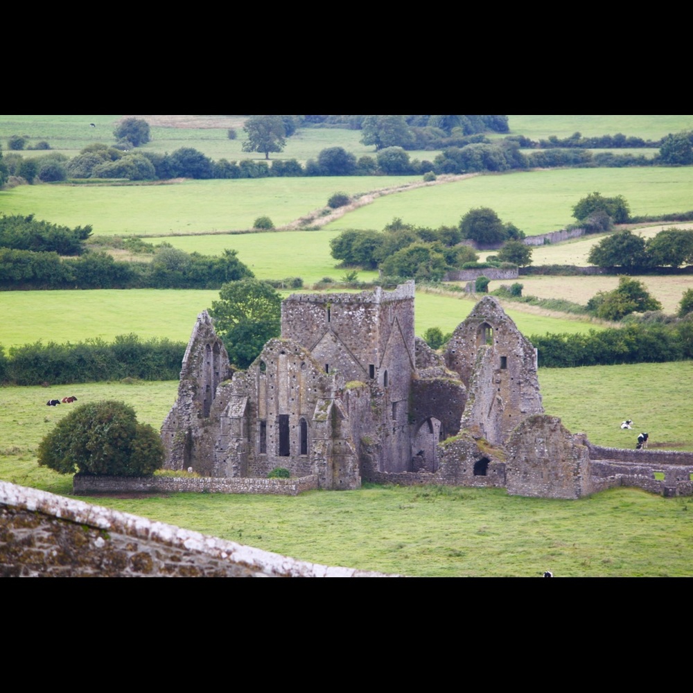 Meet your Posher, Anne
