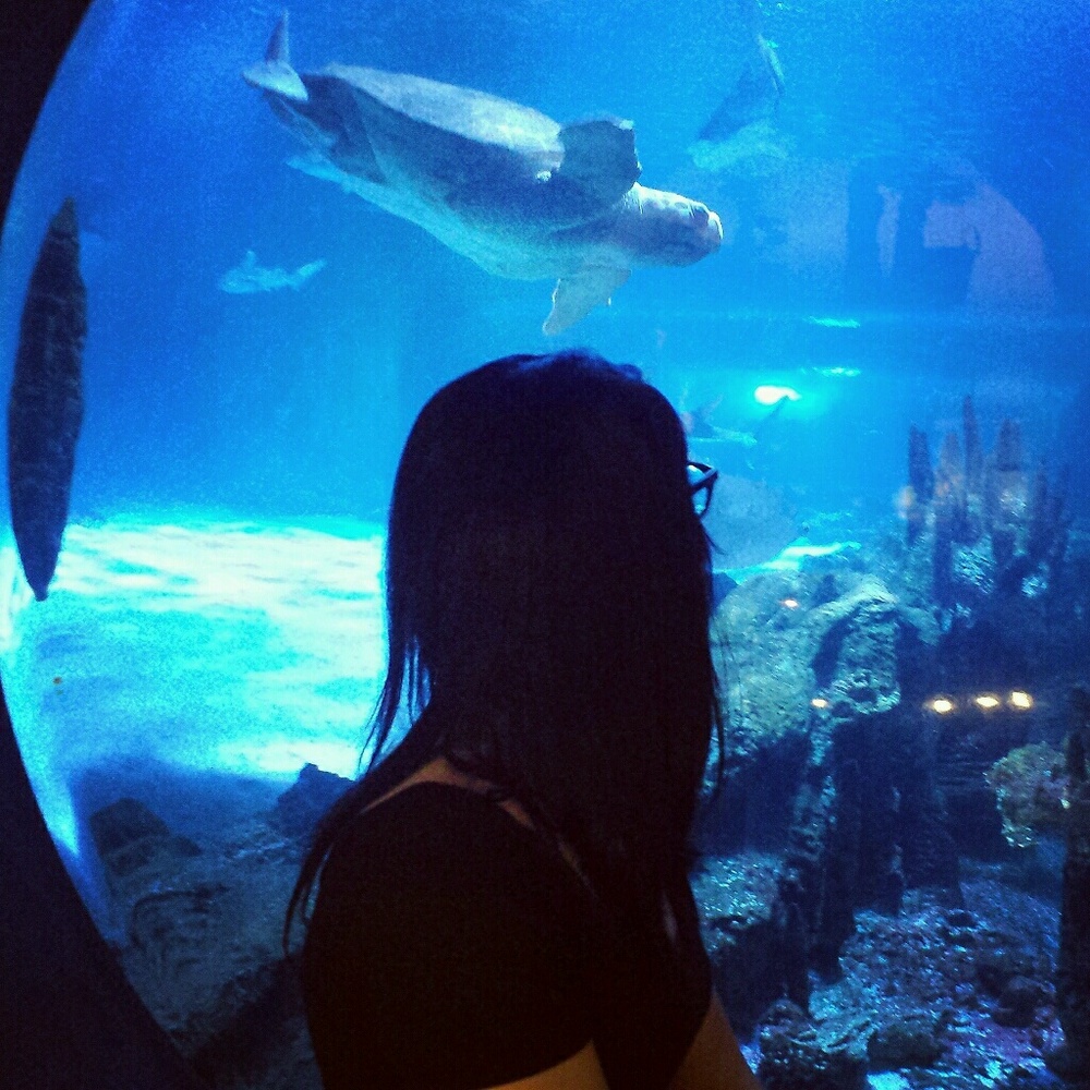 Meet your Posher, Marisa