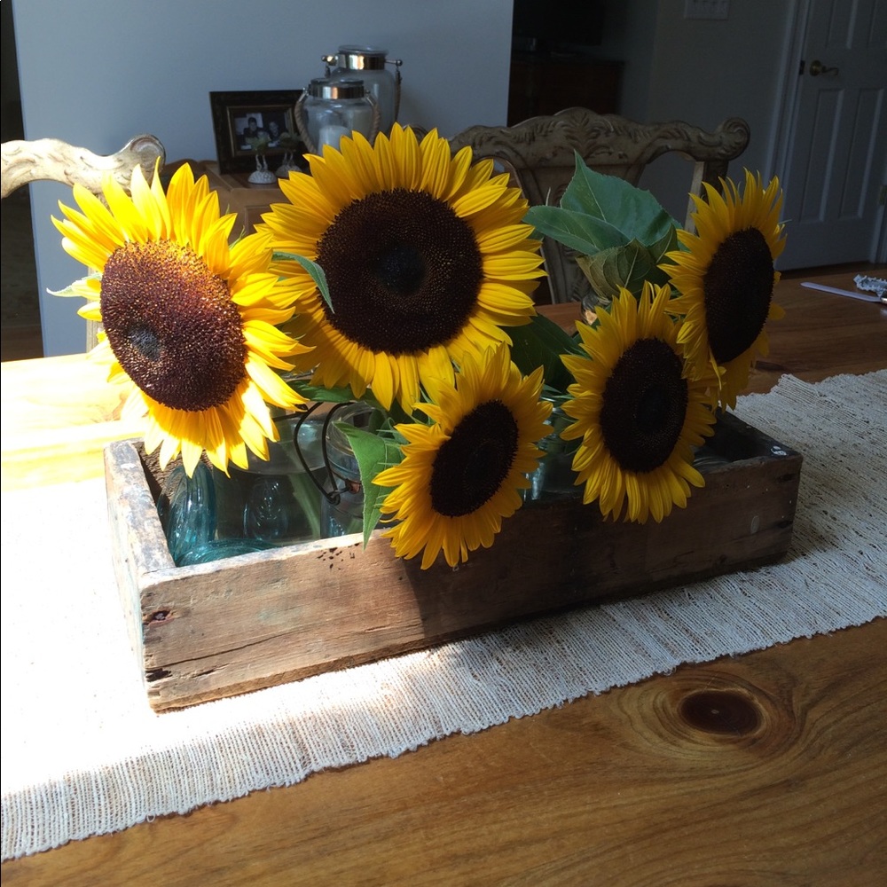 Happy sunflowers