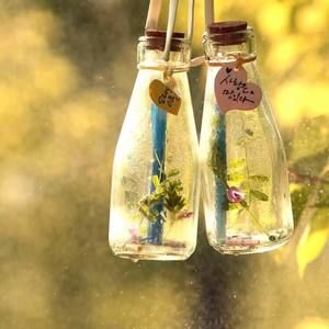 Meet your Posher, Sammi