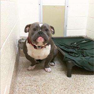 Meet your Posher, Kielan