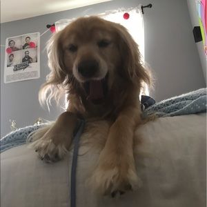 Meet your Posher, Kalie