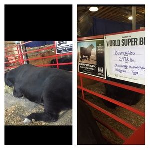 Meet your Posher, Whitney