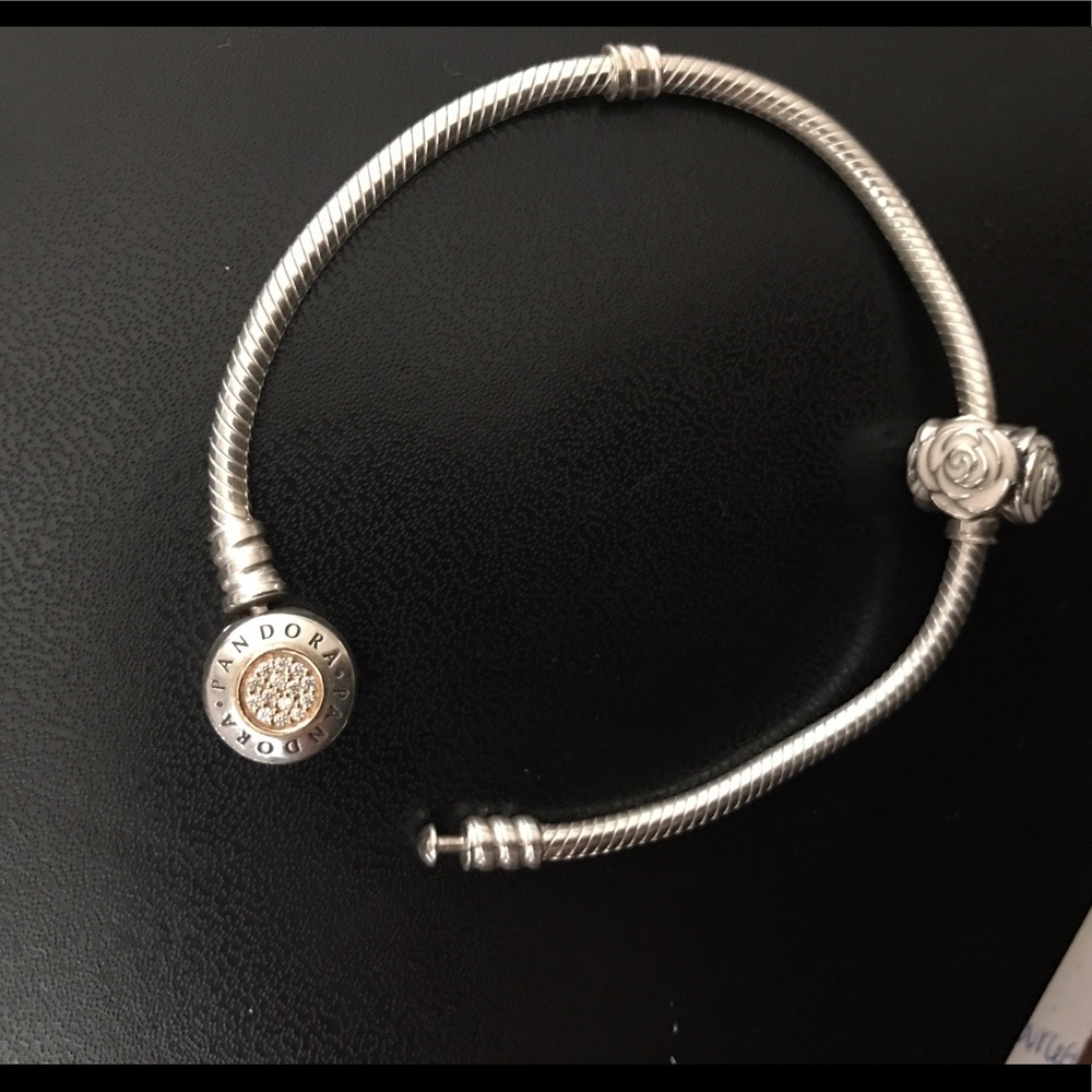 Pandora charm bracelet