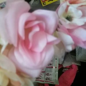 Meet your Posher, Nallely