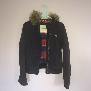 Hollister Navy Winter Jacket