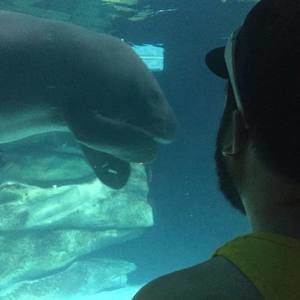 Meet your Posher, Brendan