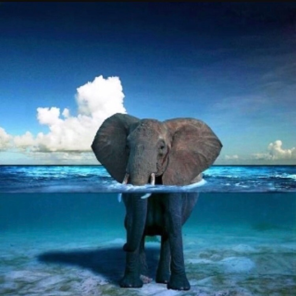 Meet your Posher, Kelcey