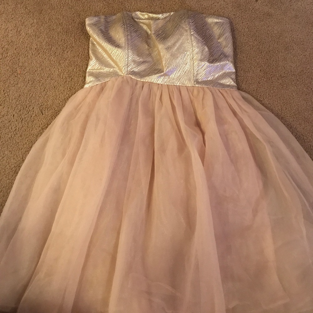 Nude and Gold Lined Dress
