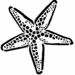 Meet your Posher, Jody