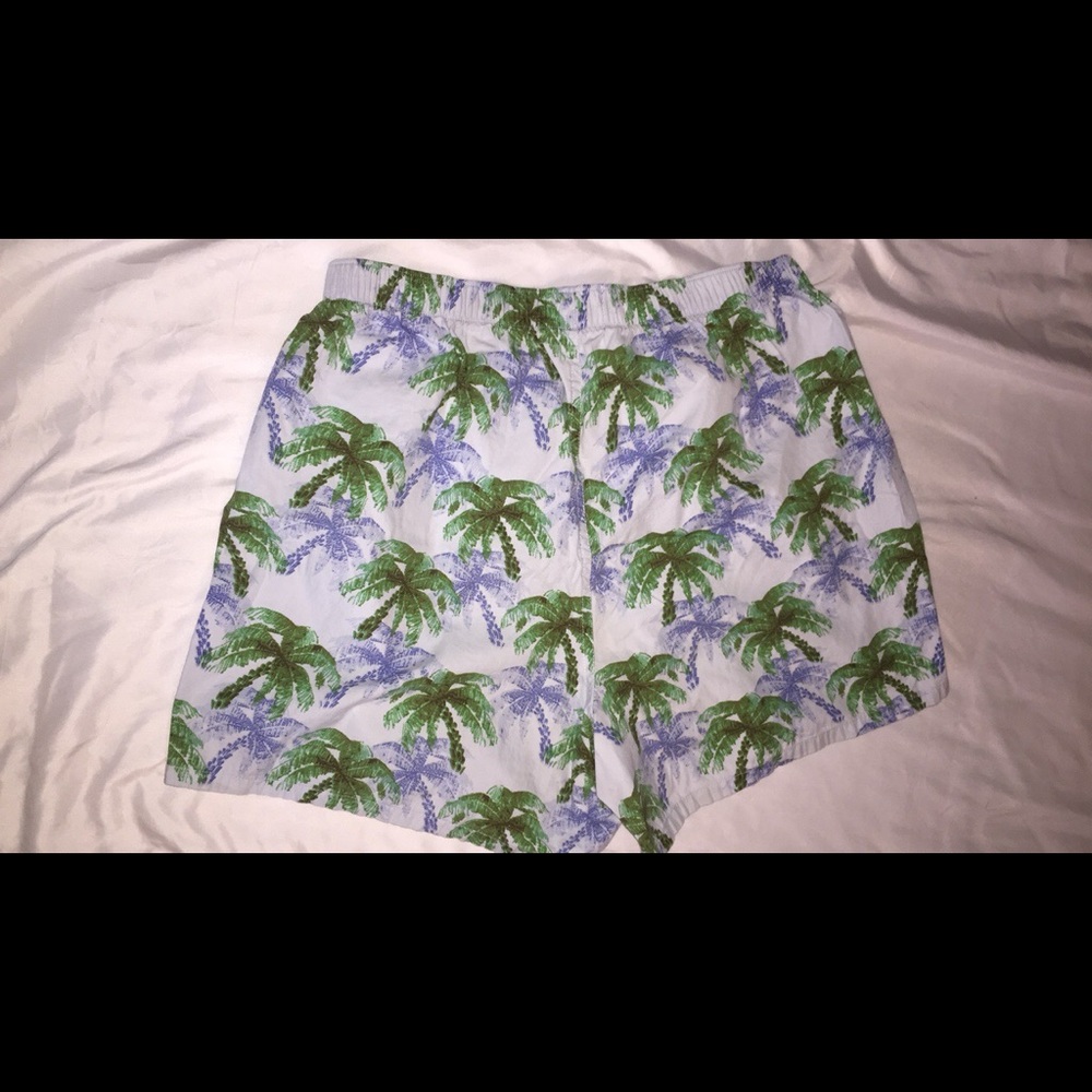 Gap tropical Boxer