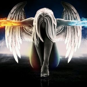 Meet your Posher, Tammie