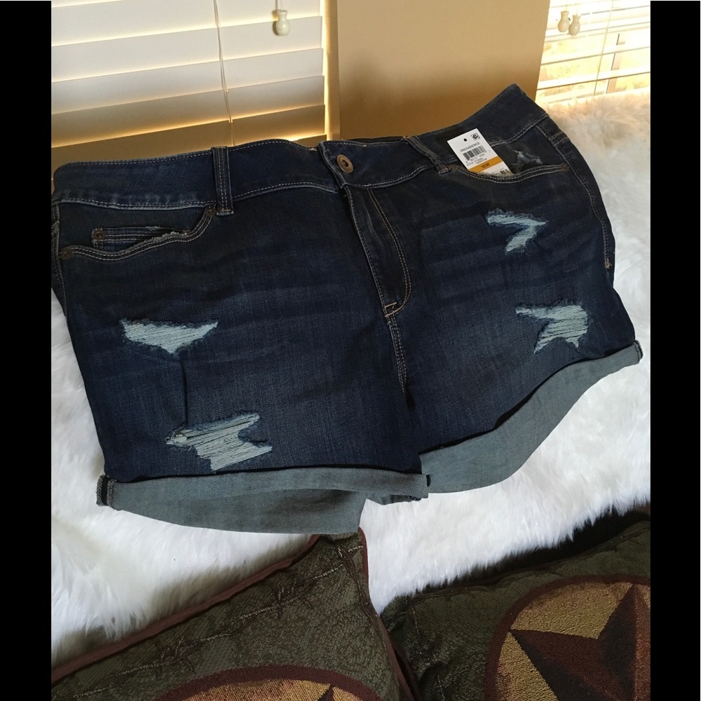 American Rag - NWT - stylish shorts, stretchy🌻