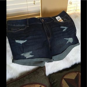 American Rag - NWT - stylish shorts, stretchy🌻