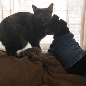 Meet your Posher, Amy