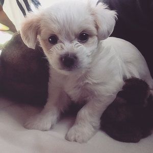 Meet your Posher, Gabriela