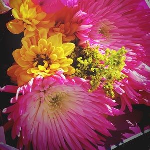 Meet your Posher, Sandy