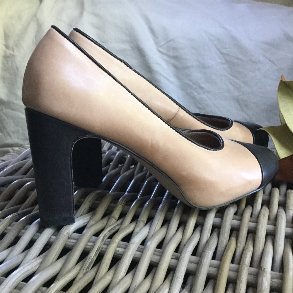 Fossil pumps