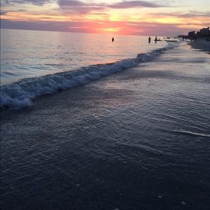 Meet your Posher, Brookee